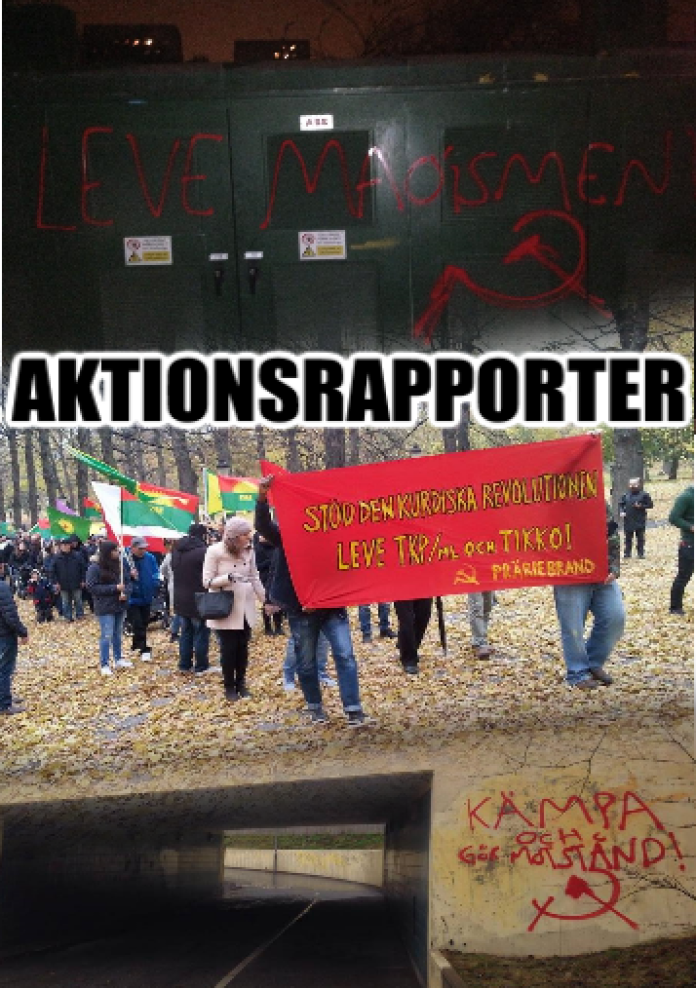 aktionsrapporter